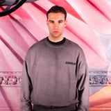 LT Crewneck Vintage Grey